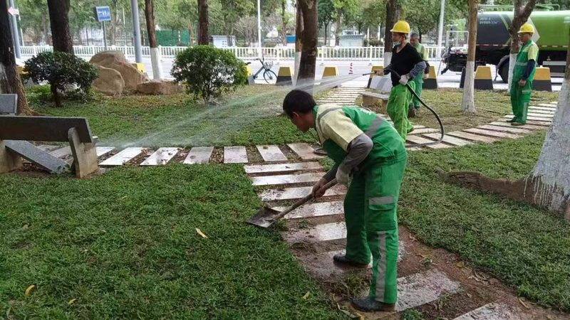 广东地区垂直绿化植物品种解析