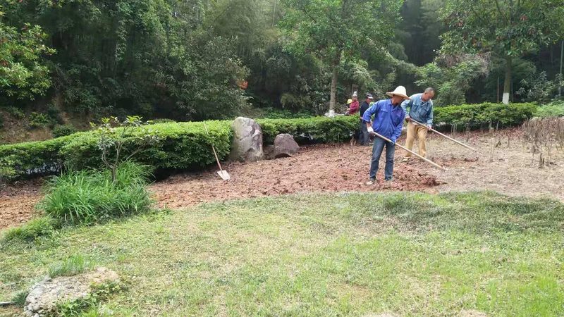 小型假山喷泉：尺寸、报价与选购要点揭秘