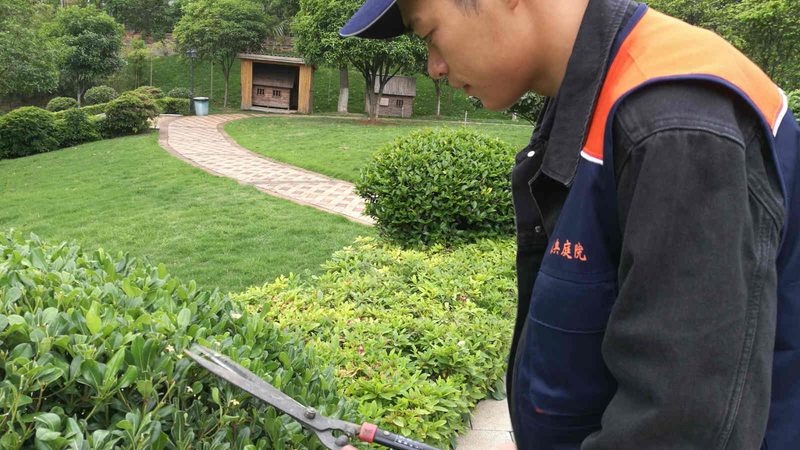 花境色彩搭配与植物材质选择，打造宜居绿色空间