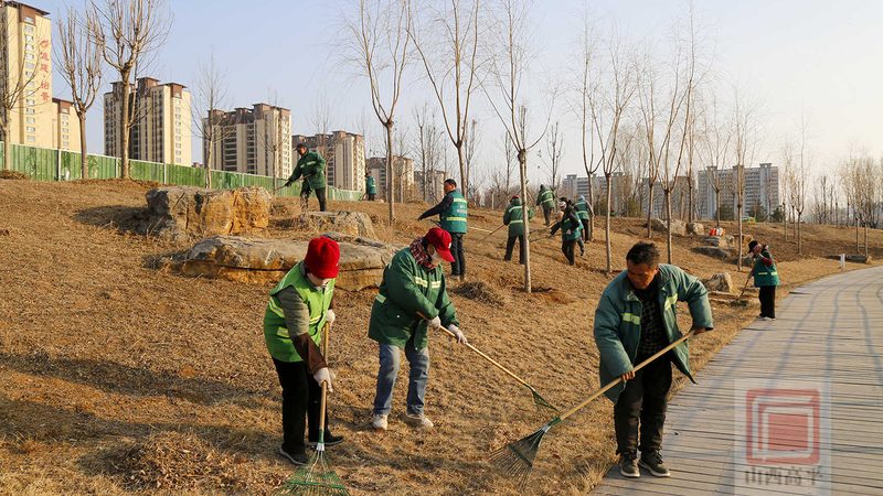 办公室绿植租赁，价格几何？揭秘办公室绿植租赁定价因素**