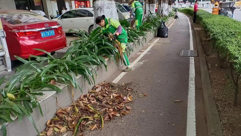 别墅花园设计：厂家直营的五大优势**