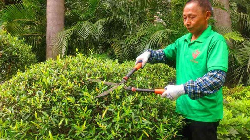 成都垂直绿化墙：成本构成与影响因素解析
