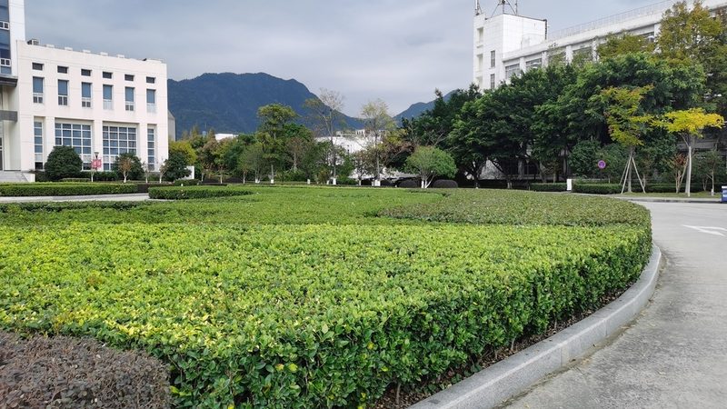 上海花园庭院设计：细节决定成败**