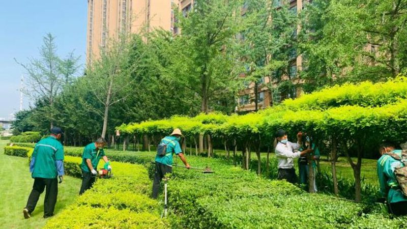 园林项目经理日常工作步骤解析